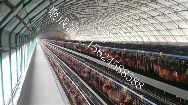 点击查看详细信息<br>标题：养殖大棚 阅读次数：养殖大棚