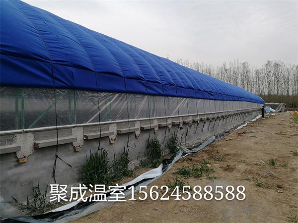 养殖大棚建设