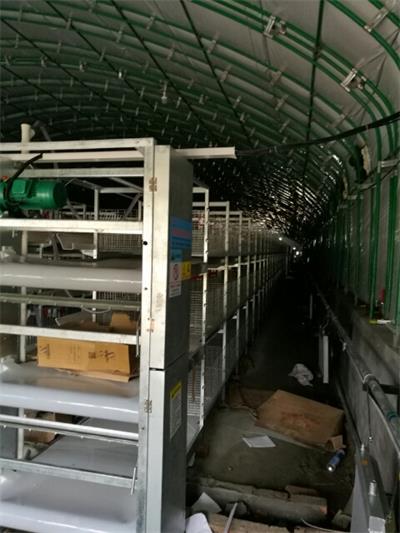 点击查看详细信息<br>标题：养猪自动化全套设备 阅读次数：养猪自动化全套设备