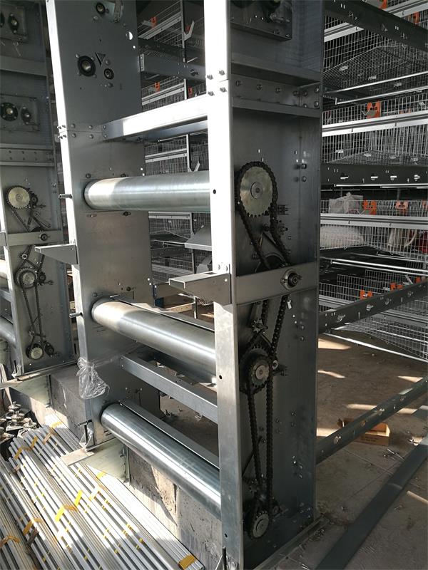 点击查看详细信息<br>标题：蛋鸡自动化全套设备 阅读次数：蛋鸡自动化全套设备