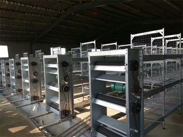 点击查看详细信息<br>标题：肉鸡自动化全套设备 阅读次数：肉鸡自动化全套设备