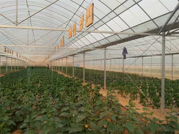 玻璃温室建设工程案例