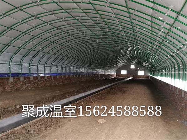 养殖大棚工程案例