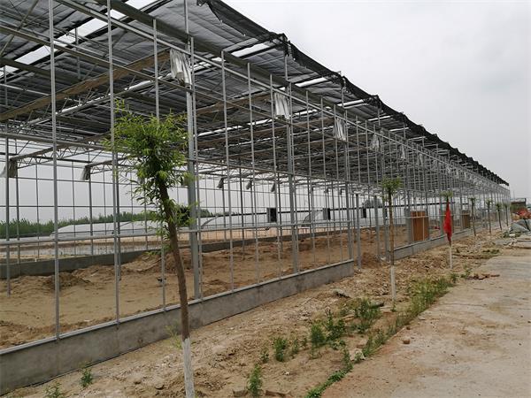 点击查看详细信息<br>标题：智能玻璃温室 阅读次数：智能玻璃温室